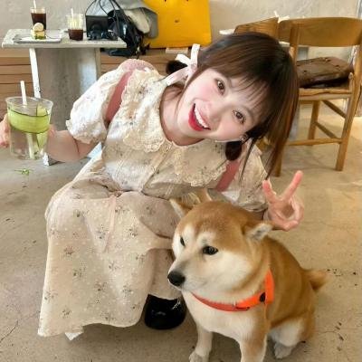 诺亚动物诊所病历记录簿